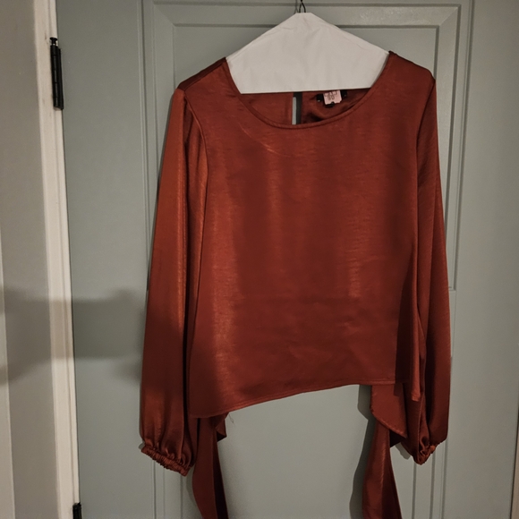 DREW Rust Pantsuit - Picture 3 of 5